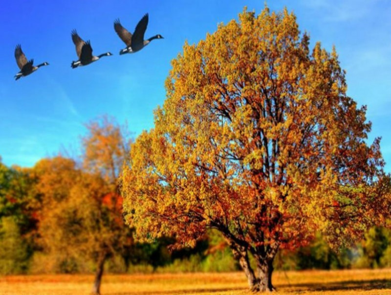 Ойрын 10 хоногийн цаг агаарын урьдчилсан төлөв